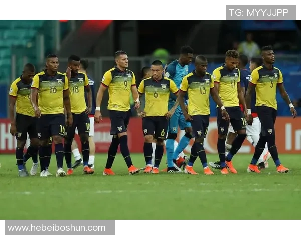 智利与厄瓜多尔上半场精彩对决分析与战术解析